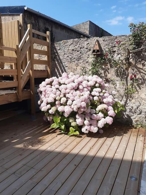 Mer - Gîte entièrement neuf à 100 mètres de la plage Wimereux Extérieur photo